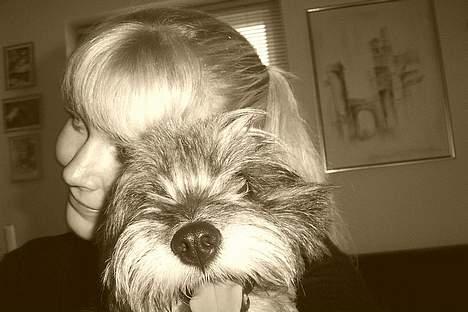 Tibetansk terrier Shanga billede 7