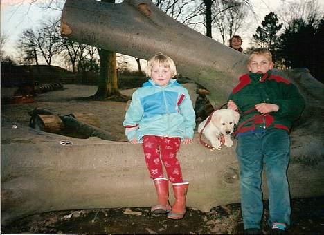 Blanding af racer Trunte R.I.P. - Gammelt billede. Mig, min bror, min mor og så trunte som hvalp,, billede 8