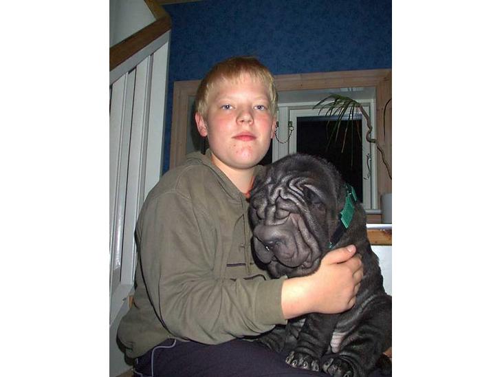 {{currentPhoto.altText}} billede {{currentPhoto.number}}