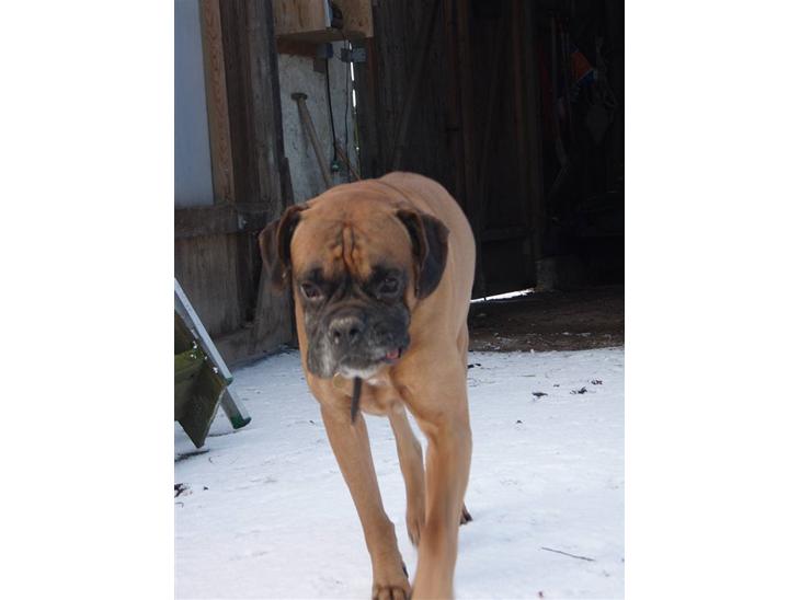 {{currentPhoto.altText}} billede {{currentPhoto.number}}