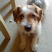 Blanding af racer Zico