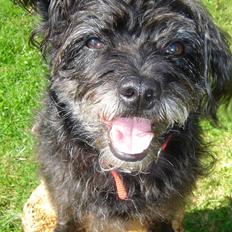 Blanding af racer Fridde |SOLUMATE - LOVER|