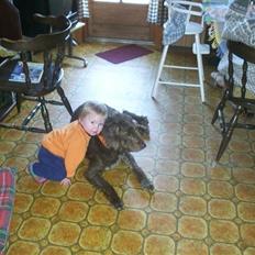 Blanding af racer Bølle - R.I.P<3