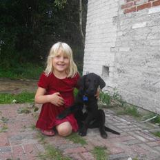 Blanding af racer Leo