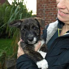 Blanding af racer Emma