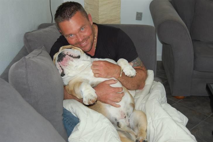 Engelsk bulldog Don - UHHHMMMMM... billede 11