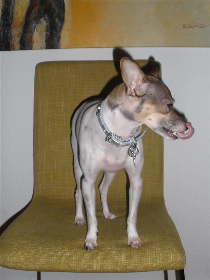 Blanding af racer Gucci <3 billede 9