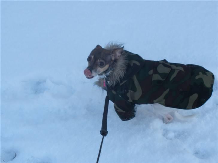 Blanding af racer Gucci <3 billede 12