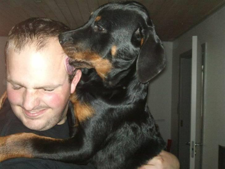 Rottweiler Kakestto's Fibie (05/05-10 - 03/09-14) - Altid så kærlig! Hun er en SKØN pige billede 19