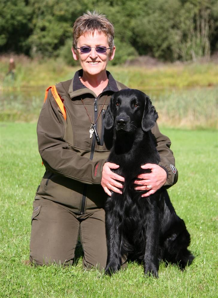 Flat coated retriever Bailey - 18 mdr. bestået DRK`s Kvalifikationsprøve billede 18
