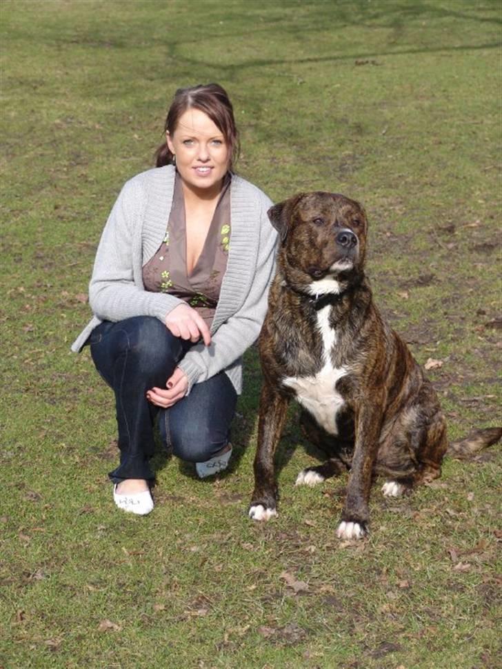 Blanding af racer Kato - Min smukke vidunderlige dreng  billede 1