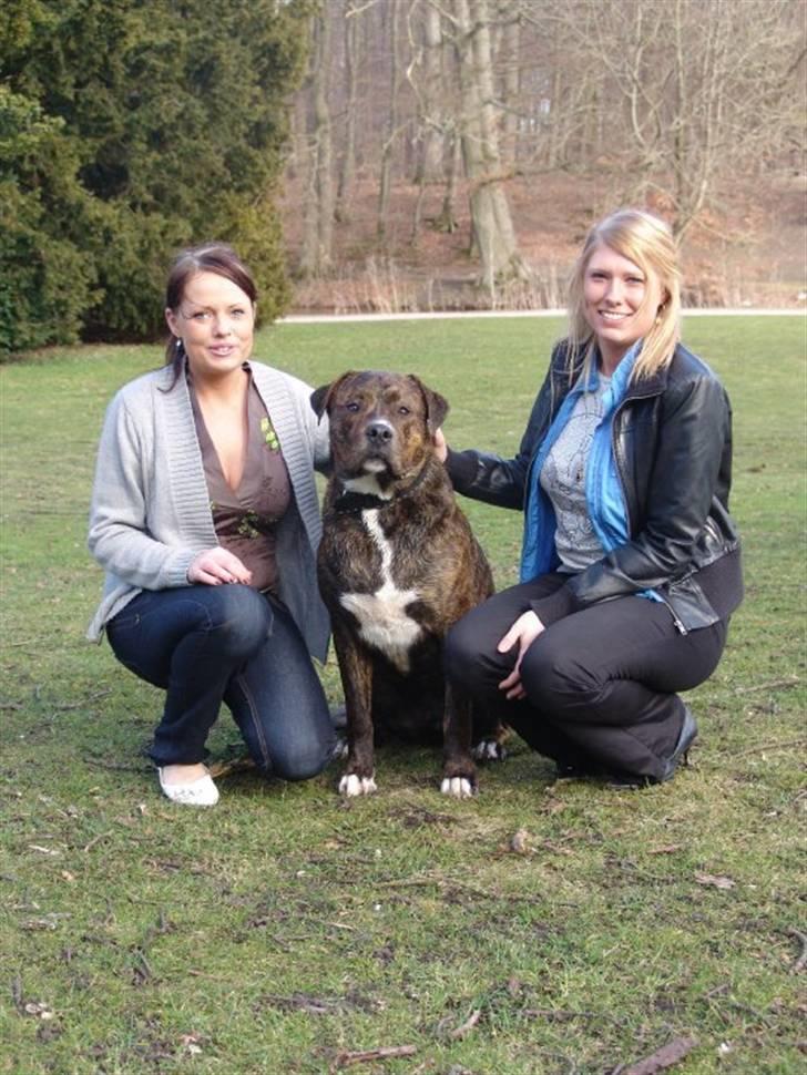 Blanding af racer Kato billede 16