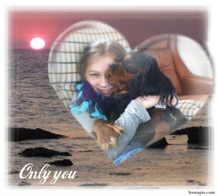 Cavalier king charles spaniel Johnny - Et billede fra da jeg var mindre med Johnny :-) billede 14