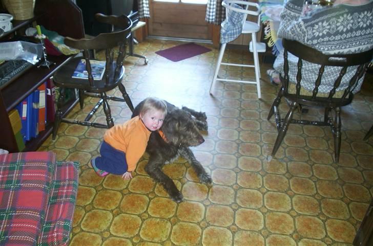 Blanding af racer Bølle - R.I.P<3 - Bølle og min søster<3 billede 3