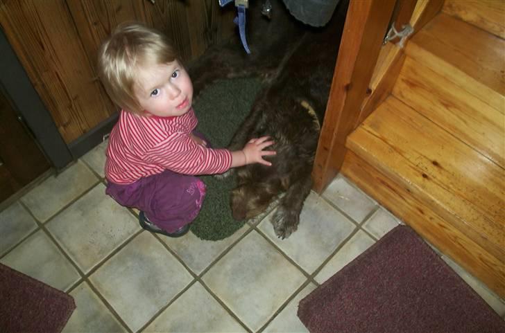 Blanding af racer Bølle - R.I.P<3 - bølle slapper af og min søster ville lige klappe hende... <3 billede 4