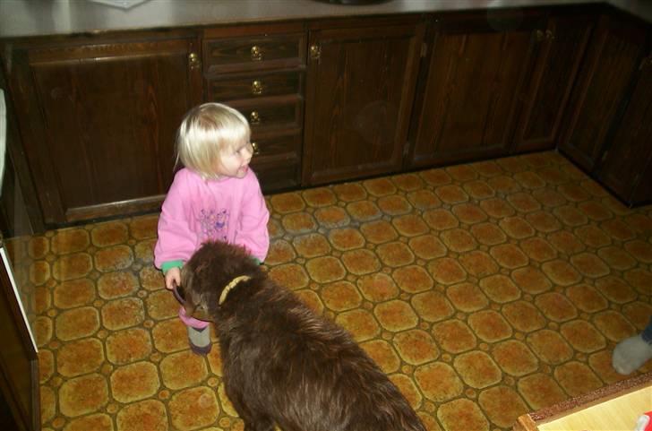 Blanding af racer Bølle - R.I.P<3 - Bølle får mad af min søster... <3 billede 5