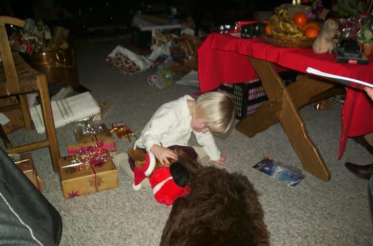 Blanding af racer Bølle - R.I.P<3 - Bølle og min søster Juleaften<3 billede 7