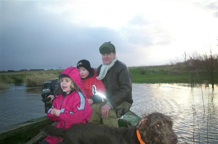 Blanding af racer Bølle - R.I.P<3 - Os alle på fjorden<3 billede 11