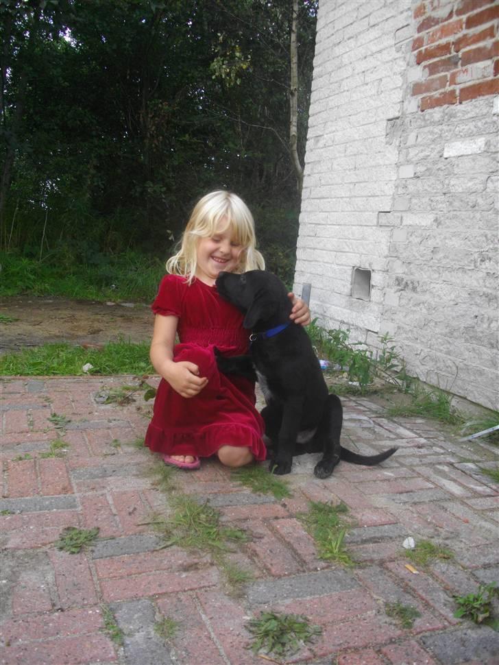 Blanding af racer Leo billede 4