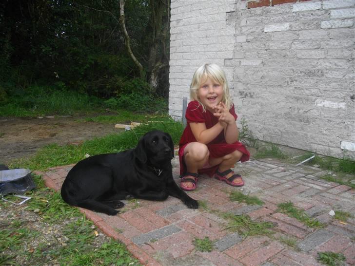 Blanding af racer Loulou billede 18