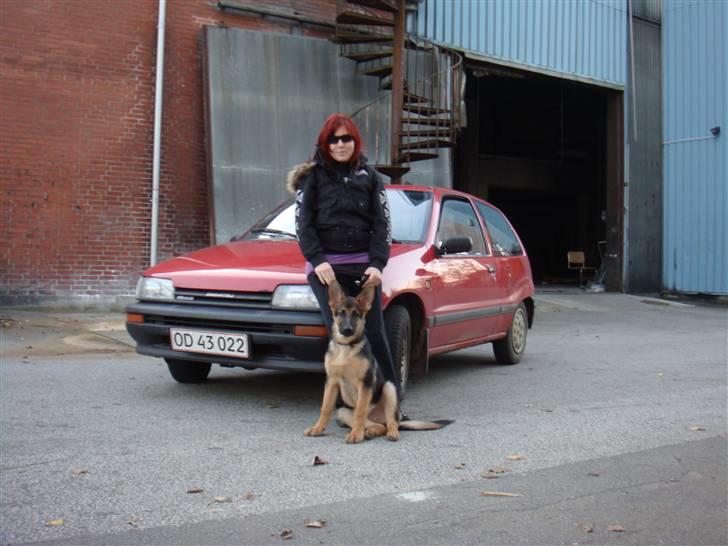 Schæferhund Morgan billede 10