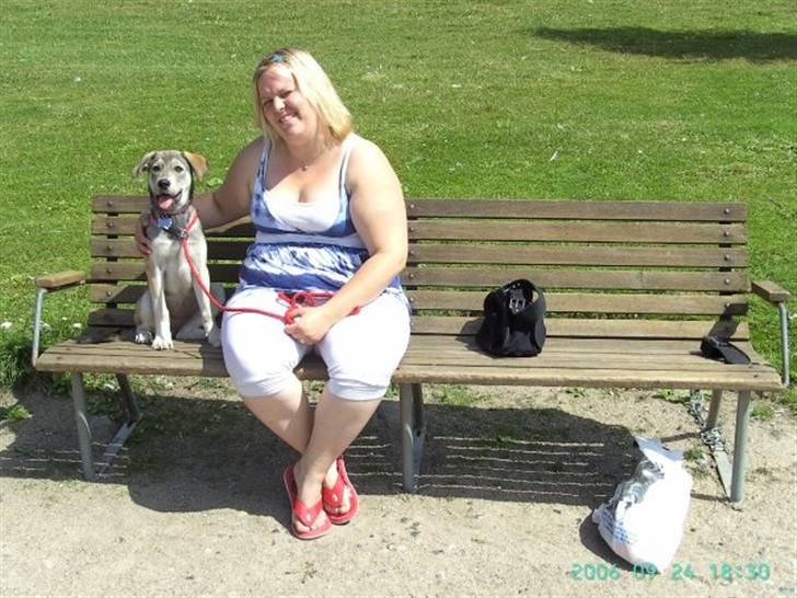 Blanding af racer Angel ** i hundehimlen** - Angel og jeg ved Maribo sø , sommeren 2008 billede 20