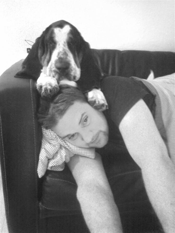 Basset hound Holger - Hygger med far - selvom han ikke var helt tilfreds med pladsfordelingen! billede 9