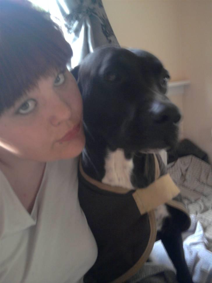 Blanding af racer Sensi - Den glade ejer og sensi billede 19