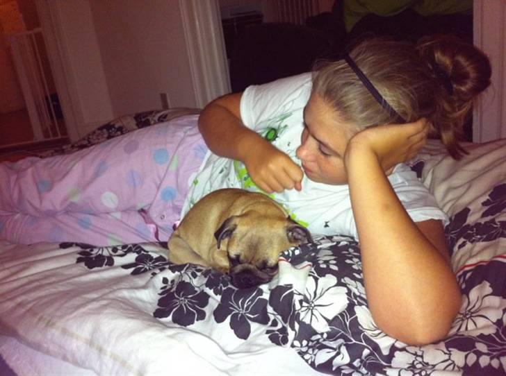 Blanding af racer (mops/griffon) Hugo billede 10