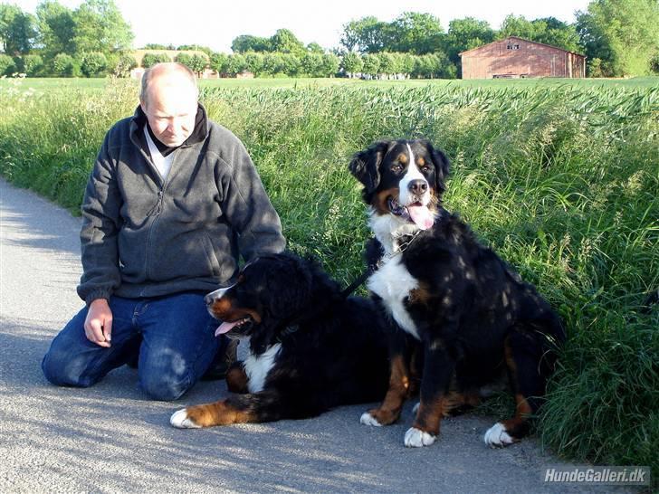 Berner sennenhund Shila - På tur med Jens og Balou billede 8
