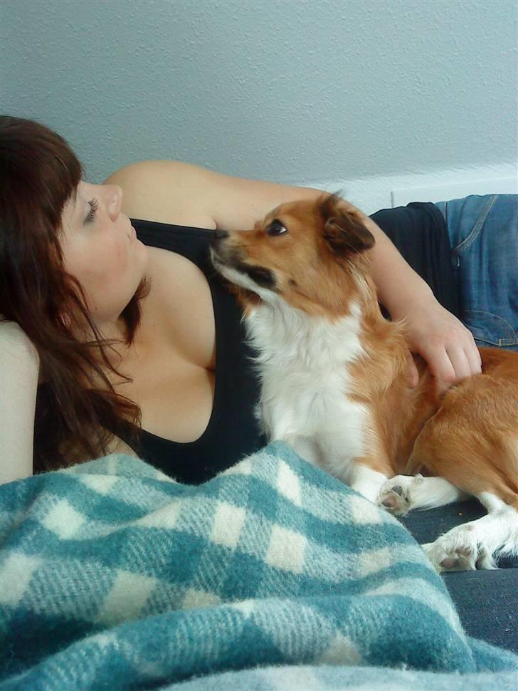 Blanding af racer Mille billede 7