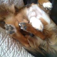 Blanding af racer Gucci