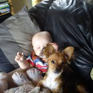 Blanding af racer Gucci