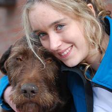 Ruhåret hønsehund Sofus ^^DØD^^ /::<3 