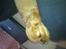 Cavalier king charles spaniel Dina - R.I.P.den 22/11-10