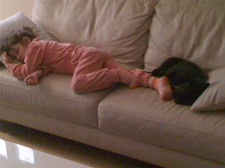 Fransk bulldog Gizmo - Jeg putter med min søster zzzzzzzZzZzZzZz billede 5