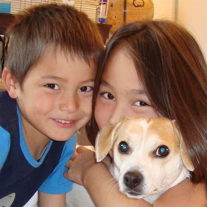 Blanding af racer FIGO billede 7