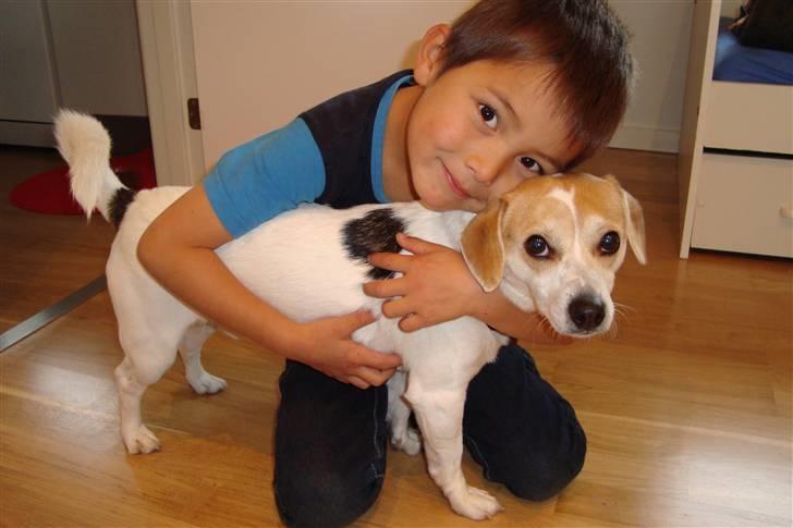 Blanding af racer FIGO billede 10