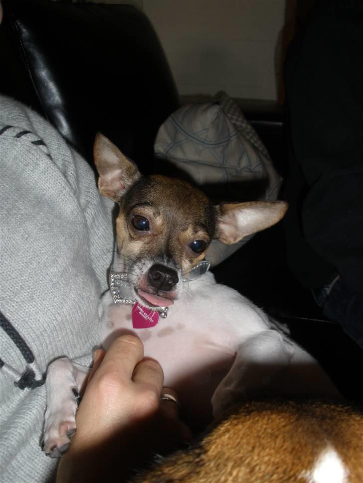 Blanding af racer Gucci <3 billede 16