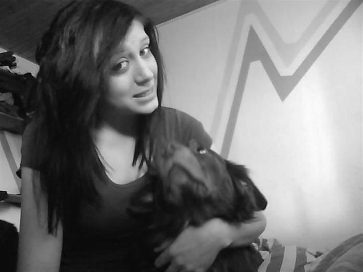 Blanding af racer Elvis billede 6