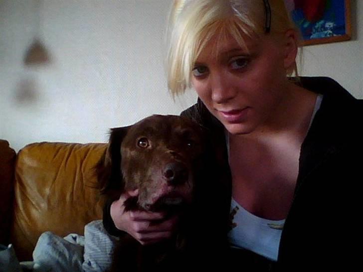 Blanding af racer Elvis billede 8