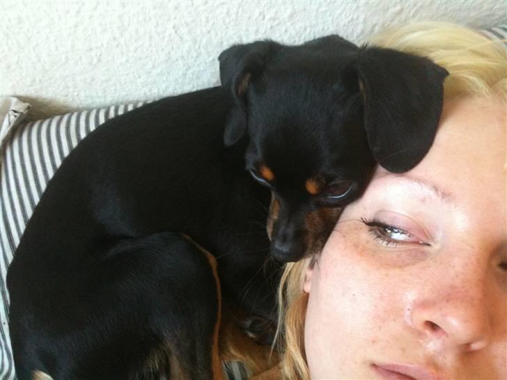 Blanding af racer Edith P billede 3