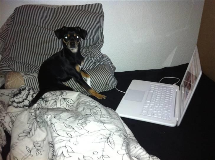 Blanding af racer Edith P - Tjekker bare lige min facebook... billede 5