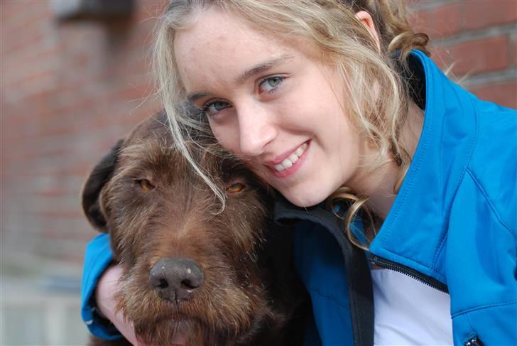 Ruhåret hønsehund Sofus ^^DØD^^ /::<3  billede 1