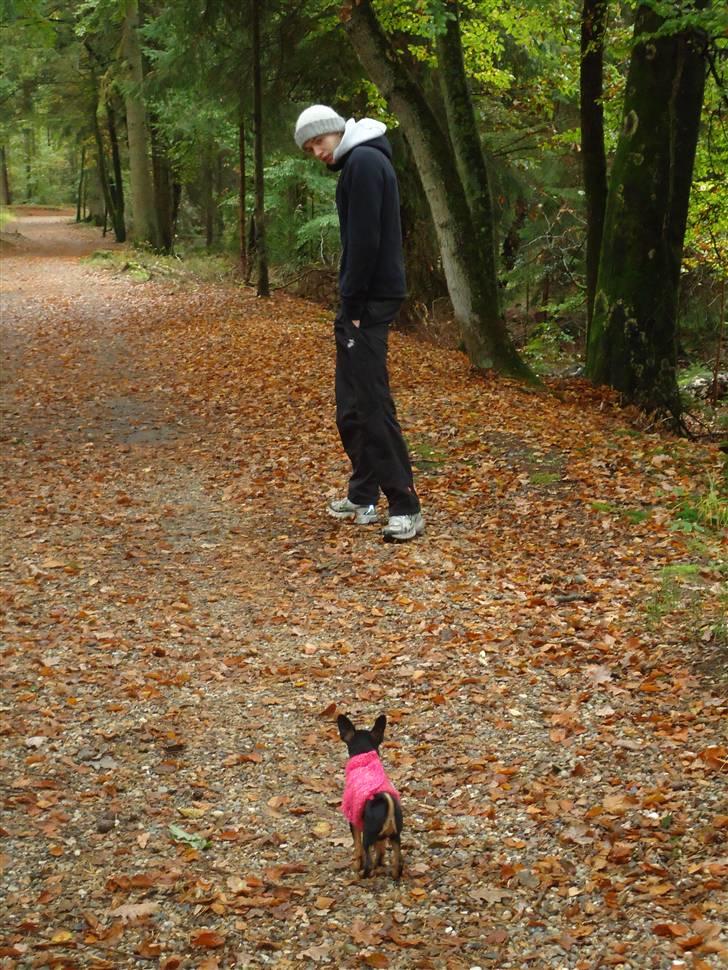 Blanding af racer Kia - Ude og gå i det kolde vejr.  billede 5