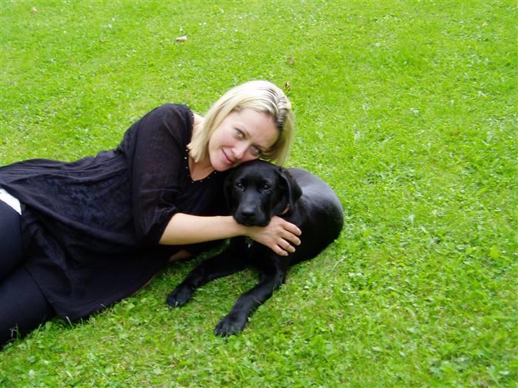 Blanding af racer Ecko broweiler R.I.P - Ecko 15 uger billede 17