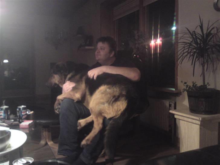 Blanding af racer nando - mmmh dejligt at blive passet af onkel :) billede 5