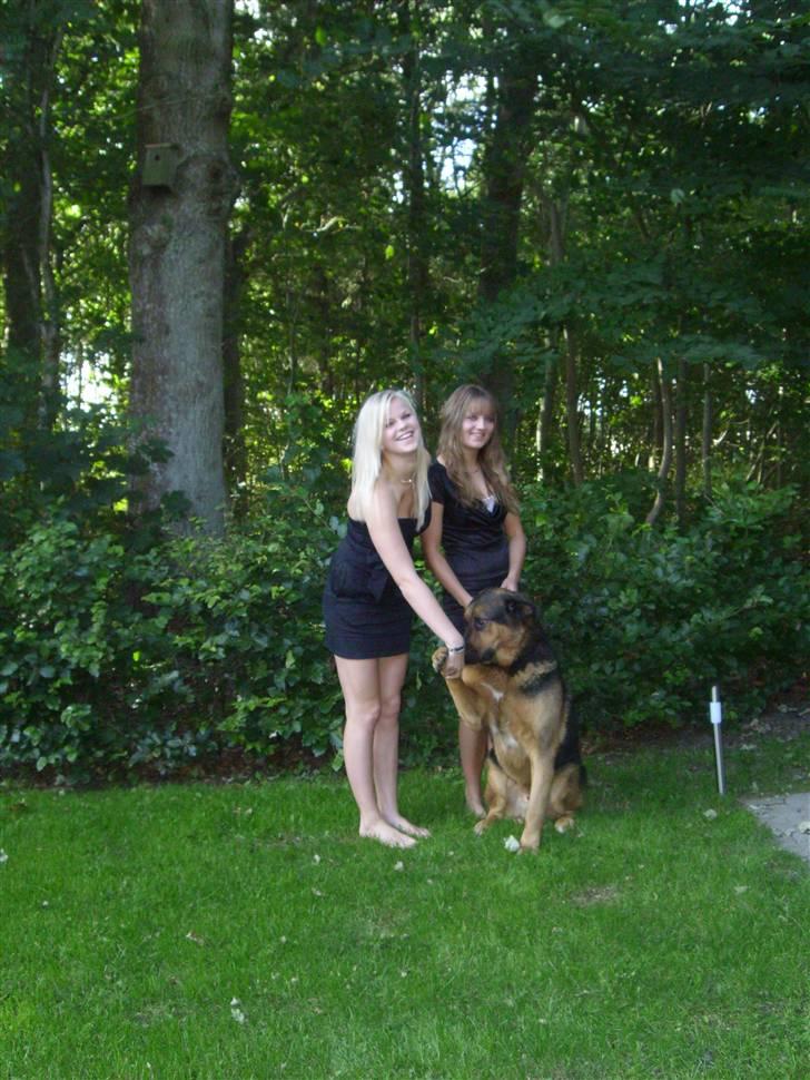 Blanding af racer nando - dejlige piger billede 6