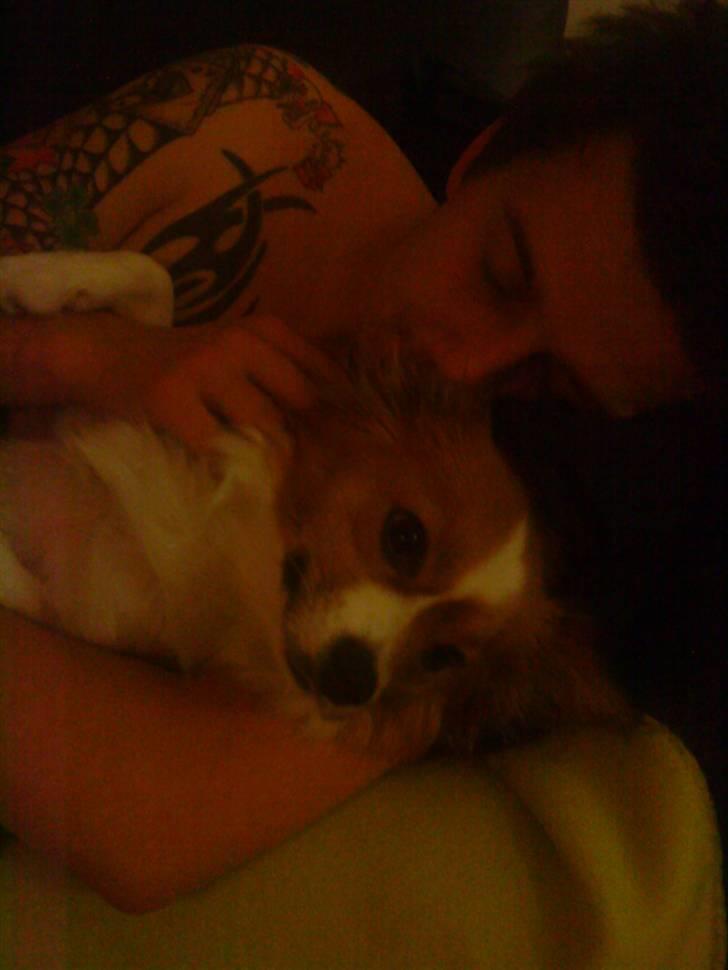 Blanding af racer Mille - Mille og min kæreste Peter der hygger på sofaen... :-) billede 16