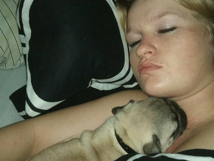 Mops Joey - faaaaaaaaaar.. vi sover altså billede 10